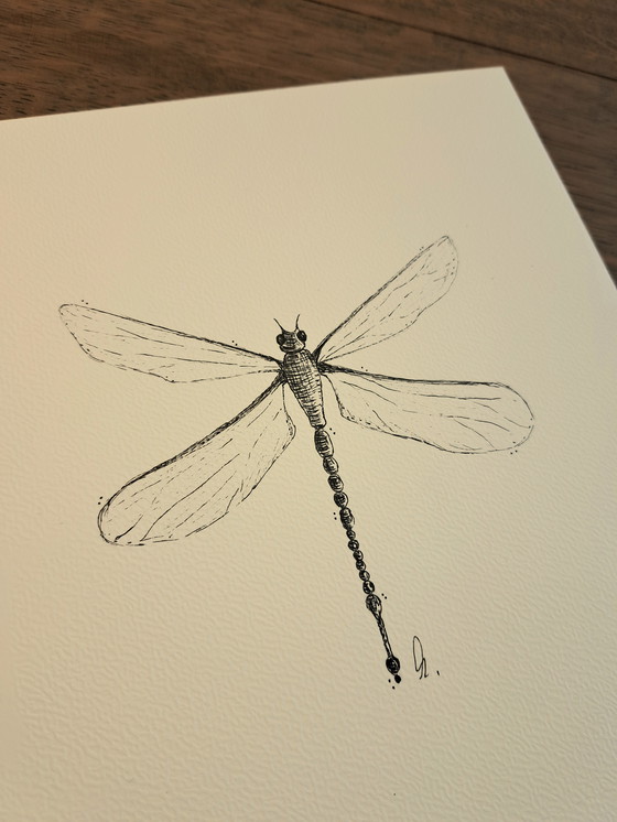 Image 1 of Dragonfly illustration | Dragonfly illustration art
