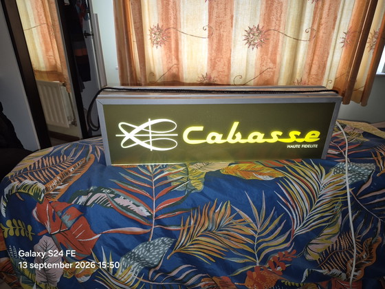 Neon Licht – Cabasse, Wandlampen, Plexiglass, Aluminium (photo 6 of 6)