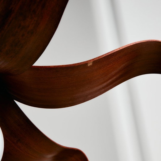 Image 1 of MK10772 Araña de hojas de coco