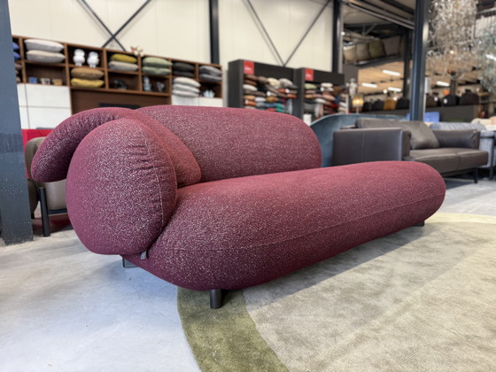 Image 1 of Leolux Pulla Divan XL Sofa Mondo Stoff Viola 225xD105