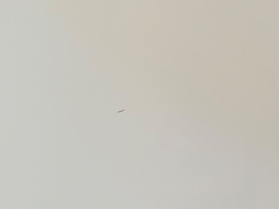Image 1 of Fritz Hansen superelipse table b611