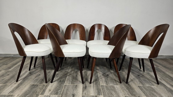 Image 1 of Esstischstühle von Antonin Suman