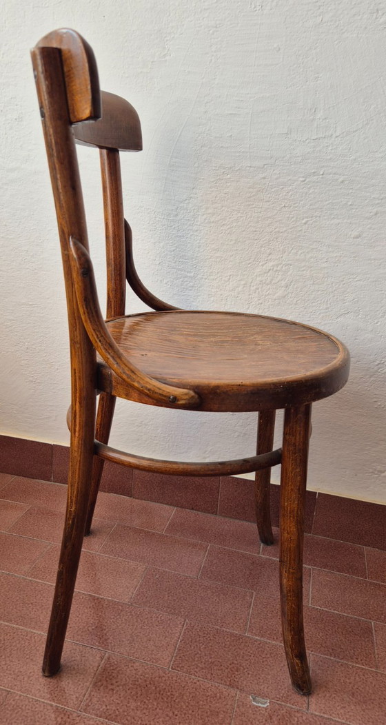 Image 1 of 1920er Jahre Thonet mundus Cafe-Stühle - Originaletikett