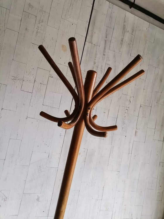Portemanteau sur pied hongrois de Thonet, années 1930 – Portemanteaux (photo 6 of 7)