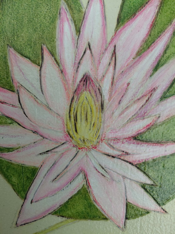 Image 1 of “Where Lilies Dteam” Gallery Suncorner