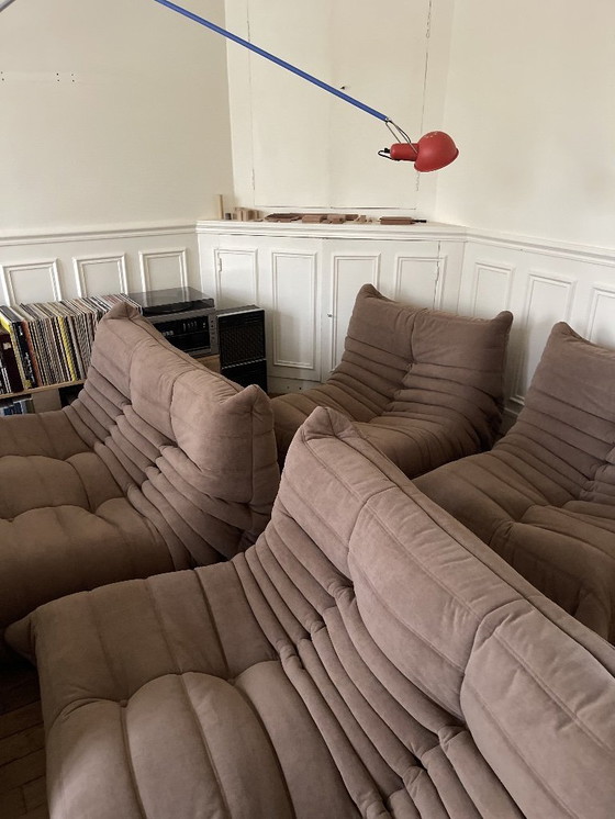 Image 1 of A Togo chaise lounge by Ligne Roset in ochre beige