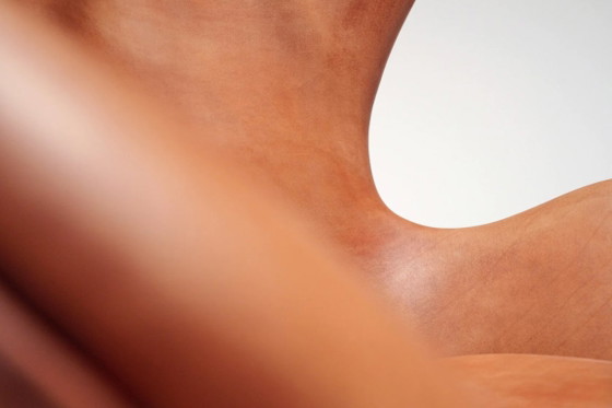 Egg Chair in natural Rustik leather by Arne Jacobsen for Fritz Hansen, Hans-Agne Jakobssen, Swivel chairs (photo 2 of 13)