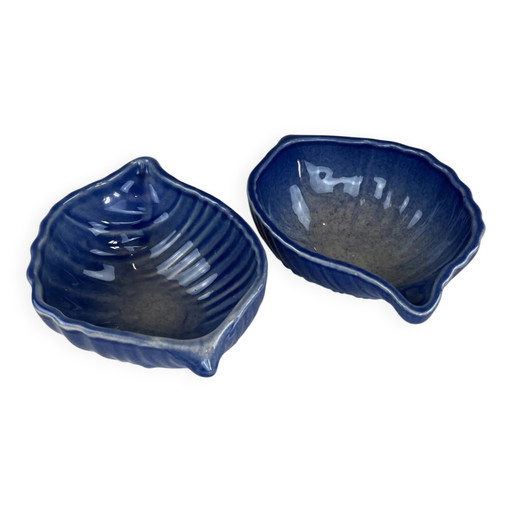 Set Muschelschalen
