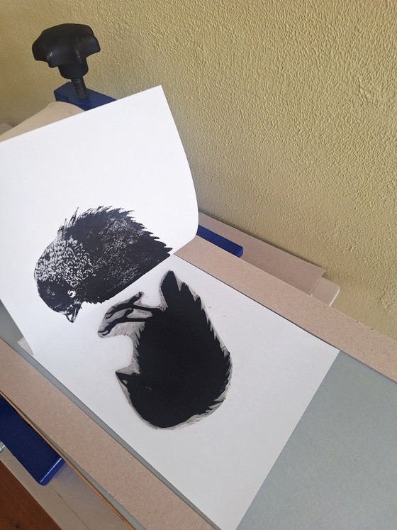 Linoprint 'Kauwtje' – M. Jasperse, Kunst, Papier (photo 7 of 9)