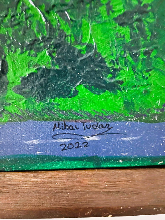 Image 1 of Guidare verso la Luna