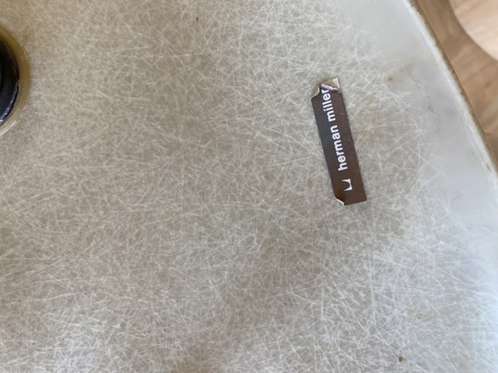 Image 1 of Sedia con scocca in fibra di vetro Eames Herman Miller