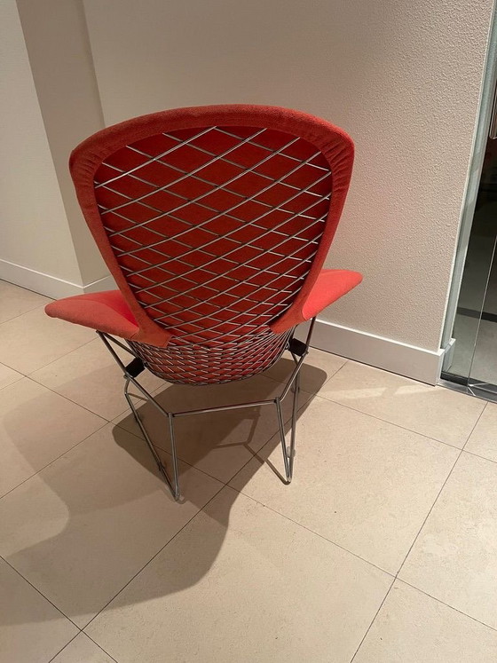 Bertoia Bird Chair – Knoll, Poltrone, Metallo, Tessile (photo 3 of 5)