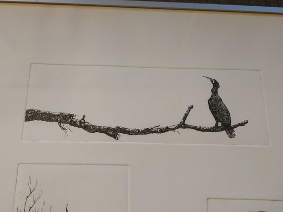 Image 1 of Ans van der Zweep-Heijmen Etching compilation - Cormorants in the Gelderland landscape