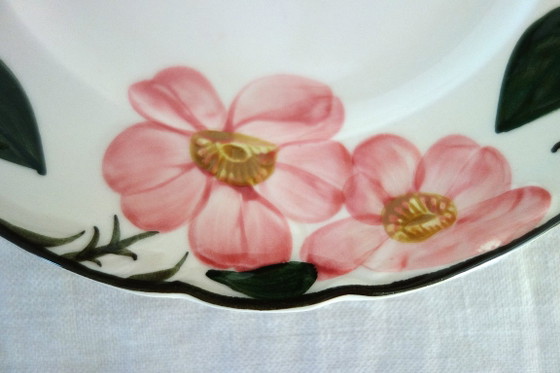 6 Villeroy & Boch „Wild Rose“ Speiseteller, 1970 – Geschirr, Porcelain (photo 5 of 9)