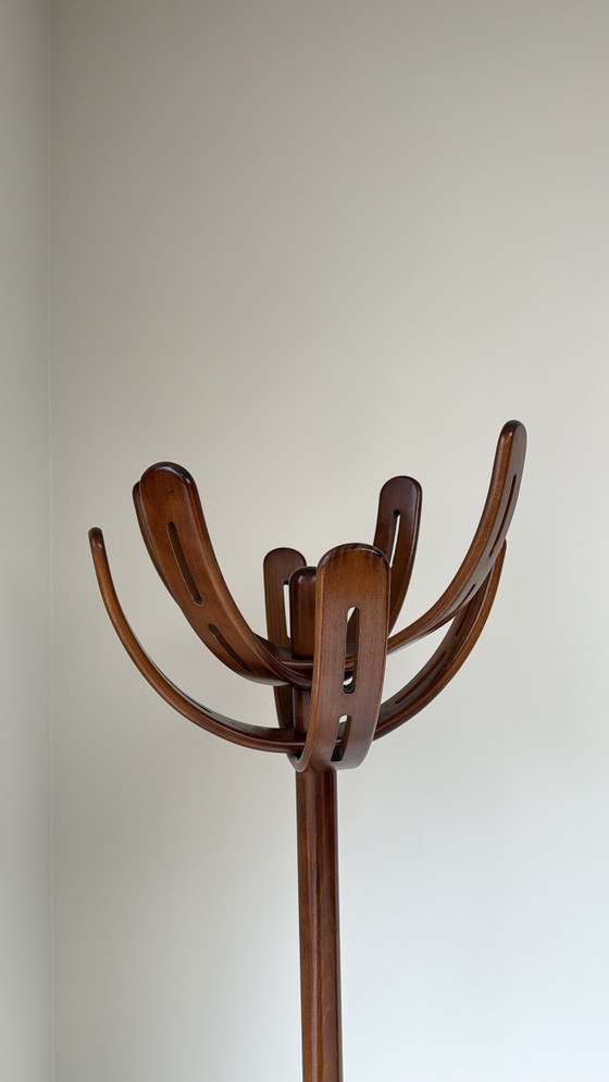 Image 1 of Vintage houten ‘Cactus’ kapstok van Pallavisini