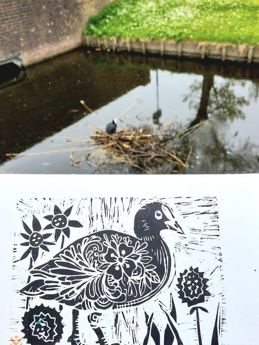 Coot Linocut Print: Handmade River Duck Art
