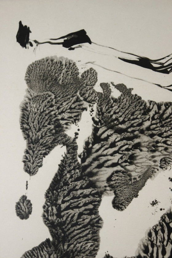 Image 1 of Theodor Werner (1886–1969) Signierte, gerahmte Lithografie