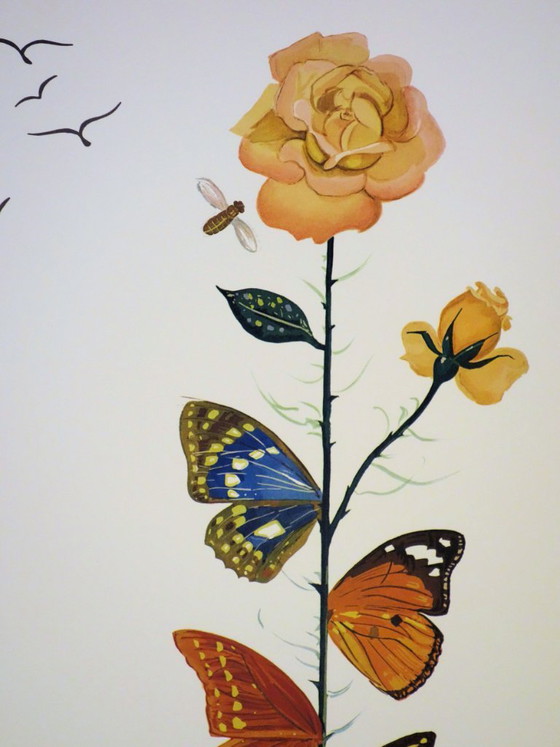 Salvador Dali : Flordali, La Rose Papillon, Lithographie Originale Signée – Lithographies et sérigraphies (photo 4 of 6)