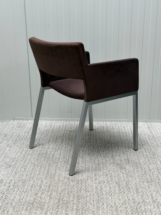 5x Studio Parade Lente B&B Marrone Scuro – Spectrum, Poltrone, Other (photo 3 of 8)