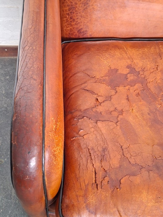 Poltrona Sheepskin Club – Poltrone, Leather, Wood (photo 9 of 10)