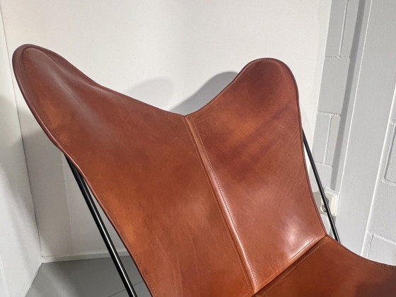 Image 1 of Cognac Papillon