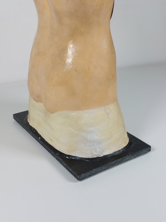 Image 1 of Vecchio modello anatomico didattico, gesso Phywe, torso anni '40