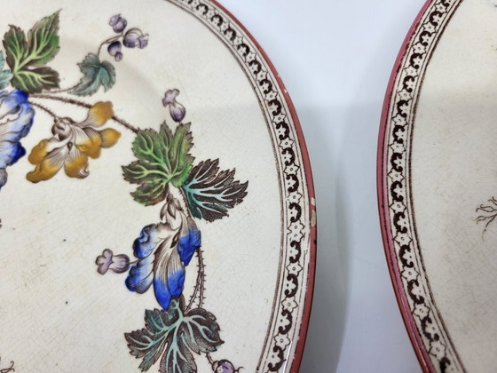 Rare Set of Victorian Brownfield & Sons "Texas" Pattern Plates, England, Circa 1880 (8) – Tableware, Ceramic (photo 11 of 18)
