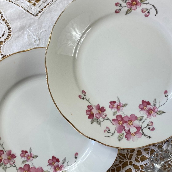 Image 1 of Royal Tognana Italy Antique Porcelain Dessert Plate Set of 9 Plates