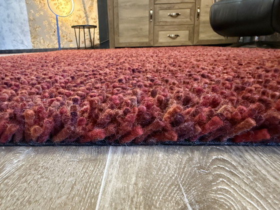 Image 1 of Brink En Campman Dots