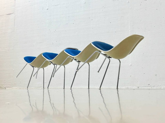 Image 1 of Set of 4 chairs (sidechairs) by Charles Eames for Hermann Miller, 1960s