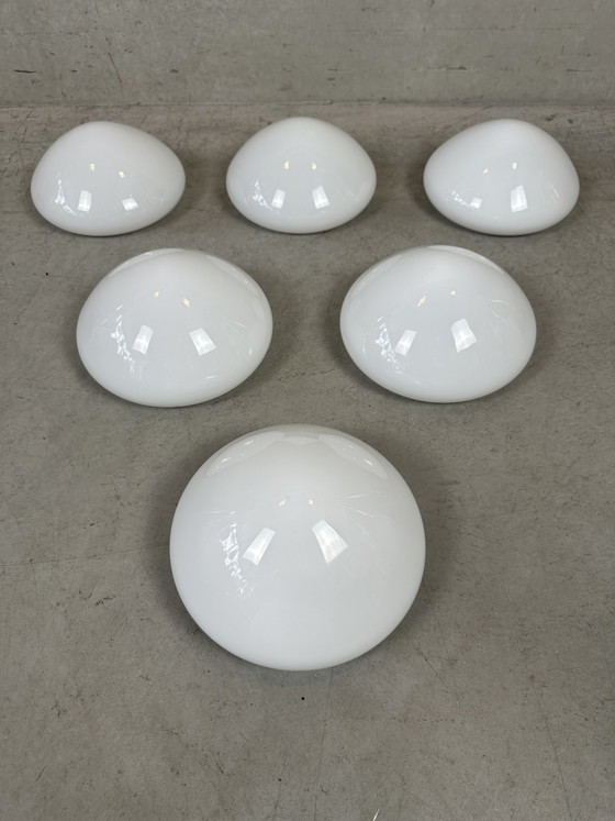 Image 1 of Lampade da soffitto o da parete vintage opaline - Philips