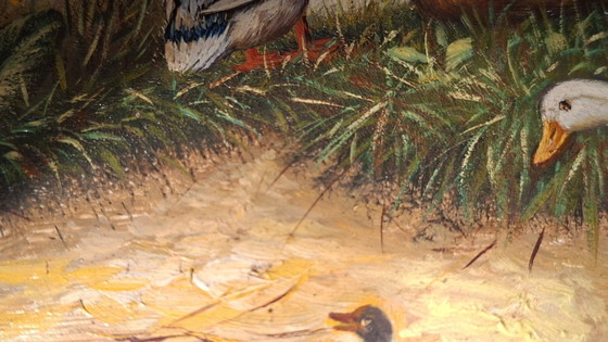 Image 1 of Topstuk: Authentieke Jan Hendrik Verburgh – "Familie Eenden" – Monumentale 19e-eeuwse Biggs & Sons Lijst