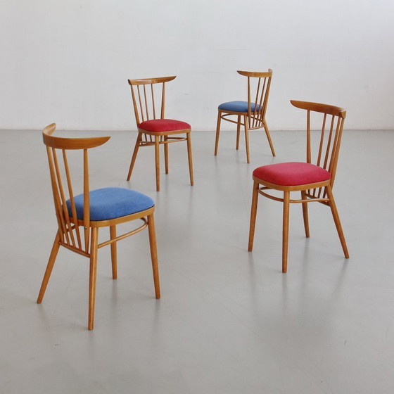 Image 1 of Een paar stoelen uit het midden van de 20e eeuw, Tsjecho-Slowakije, volledig gerestaureerd en opnieuw bekleed, vintage jaren 60.