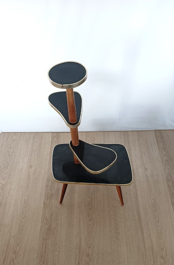 Image 1 of Fünfziger Jahre Pflanzentisch in Schwarz