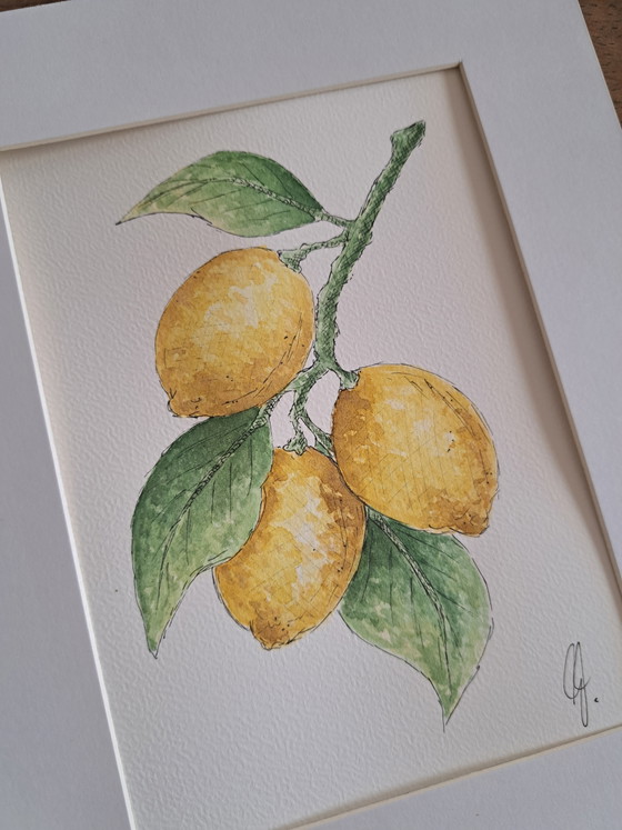 Image 1 of Aquarelle originale représentant des citrons, avec cadre doré.