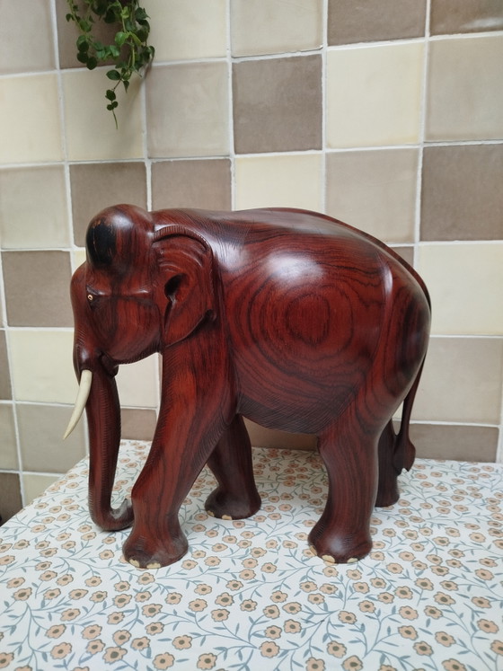 Image 1 of Gros éléphant