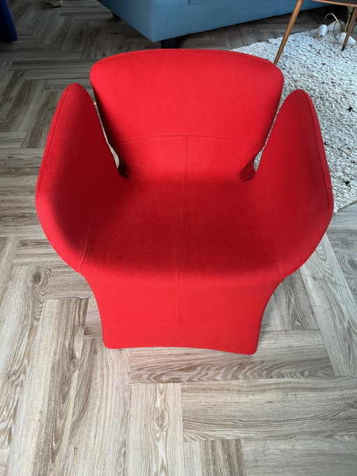 Moroso Blumig