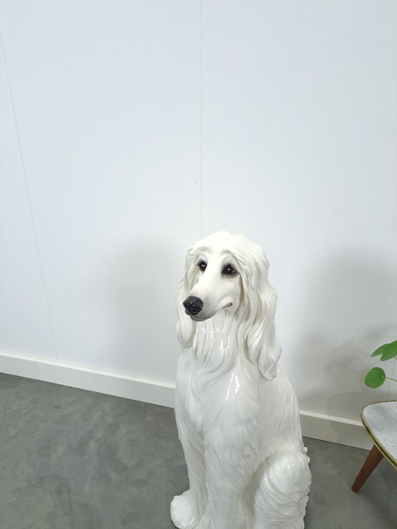 Image 1 of Large Italian ceramic statue of a dog