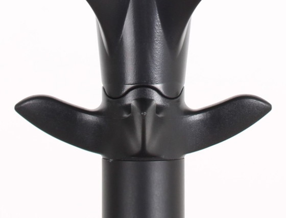 Image 1 of Appendiabiti Rexite Cactus