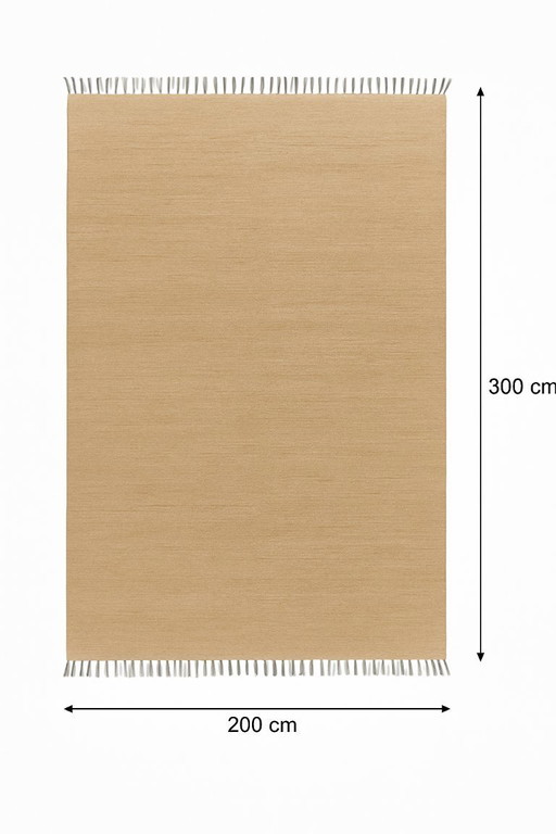 Design Rug 200x300 - Handmade in Egypt - Egyptian Wool - Beige with Gray Fringes