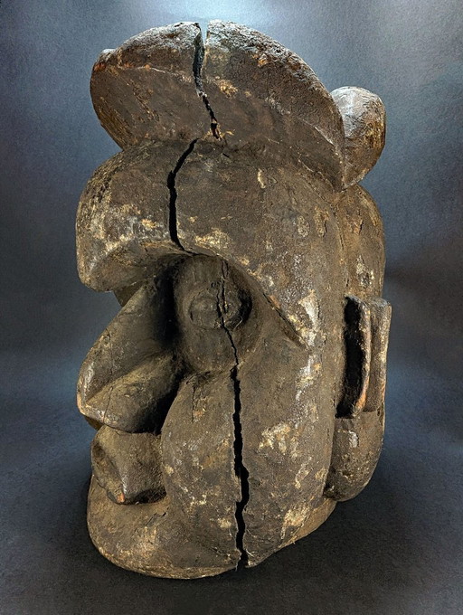 Stemma Janus Bangwa/Bamileke (Troh Night Society) Camerun - 1950 circa – beeldhouwkunst, Wood