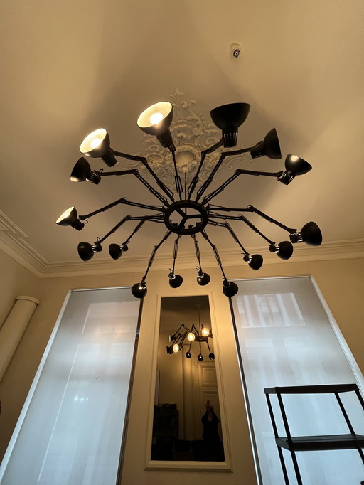 Dear ingo spider luster