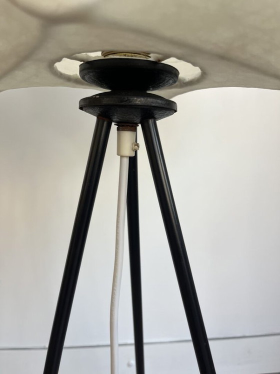 Cocoon Tripod Stehleuchte, Goldkant Leuchten – Stehleuchten, Metal (photo 14 of 15)