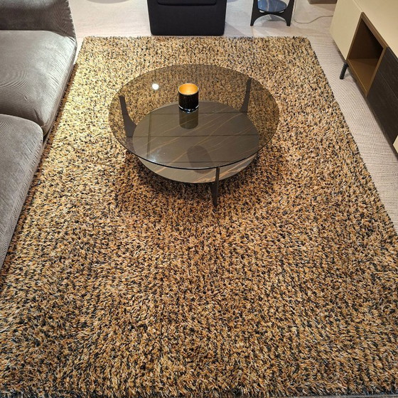 Image 1 of Carpet Diverso