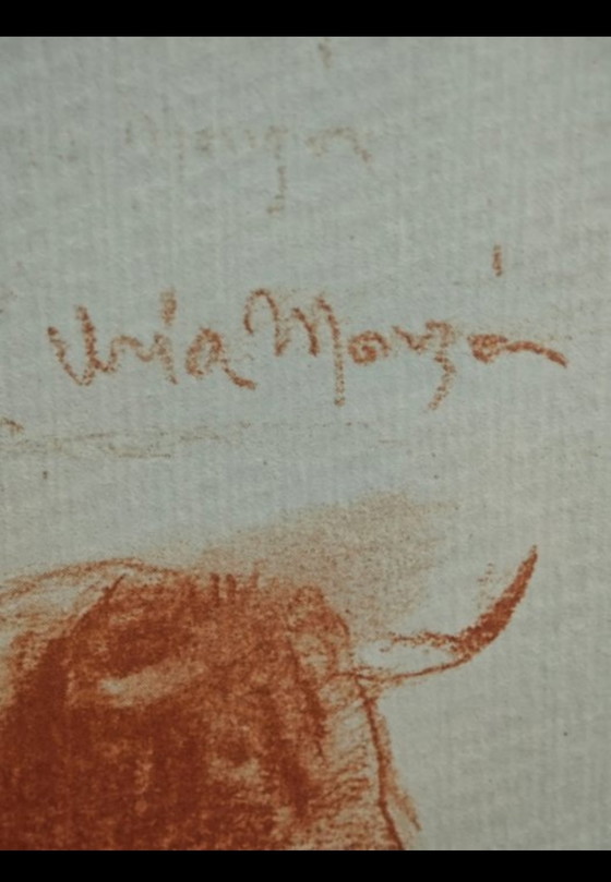 Image 1 of Sale el Toro frame, Monzón