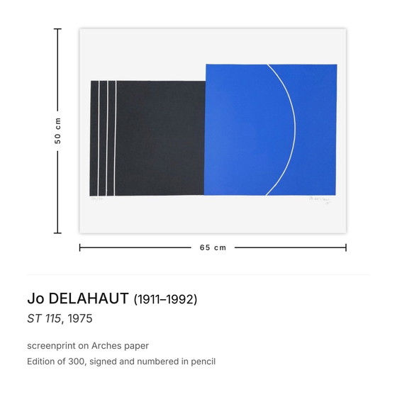 Image 1 of Jo DELAHAUT ST 115 Serigrafía firmada 1975