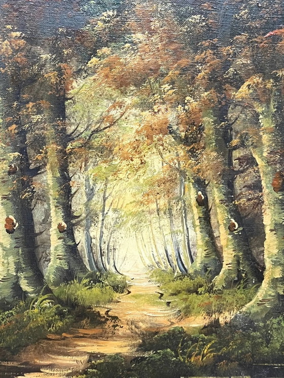 J. Somers, "Paesaggio boschivo." Olio su tela., Dipinti e disegni (foto 4 di 8)