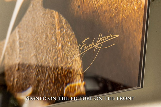 Image 1 of Flower Power 2025 | Dibond mit Plexiglas 4/25