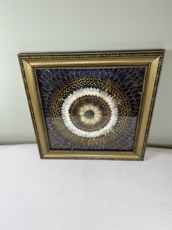 Image 1 of Tableau aile de papillons