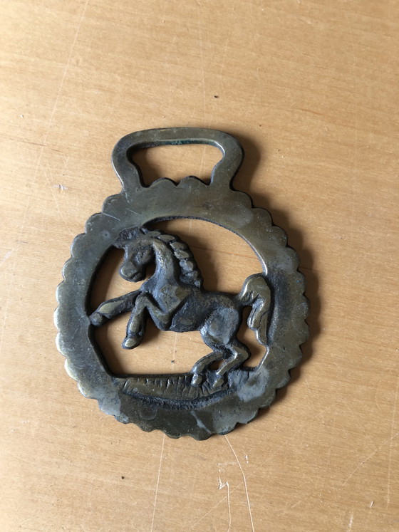 Image 1 of Paarden brasses